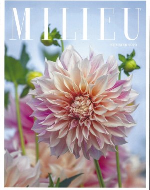 Summer-2020-Milieu-Cover